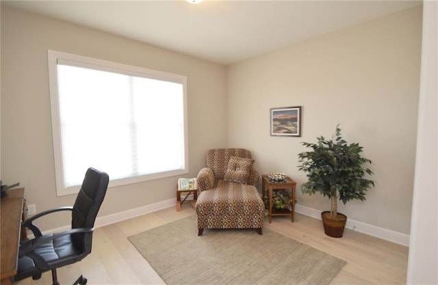 home office featuring light hardwood / wood-style flooring