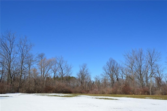 view of yard layered in snow