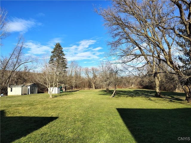 view of yard featuring a storage unit