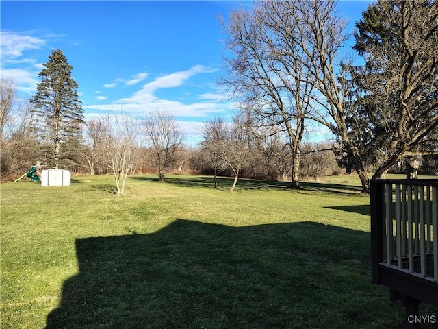 view of yard featuring a shed