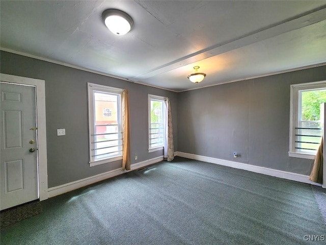 spare room with carpet floors and crown molding