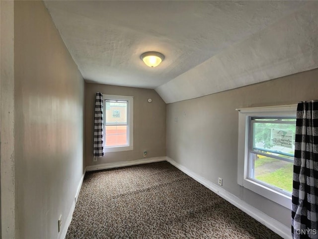 additional living space with carpet flooring and lofted ceiling