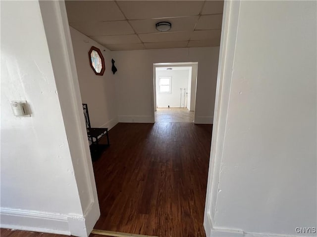 hall featuring dark hardwood / wood-style flooring and a drop ceiling