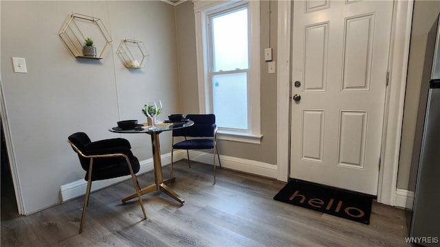 entrance foyer with plenty of natural light and dark wood-type flooring