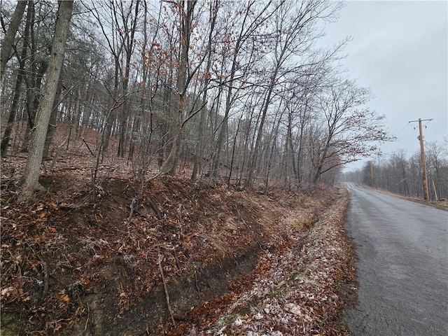 0 Warren Rd, Middlesex NY, 14507 land for sale