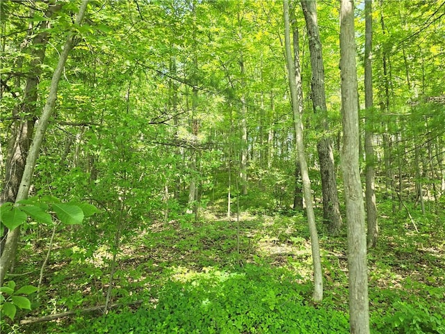 0 Warren Rd, Middlesex, NY 14507 - photo 1