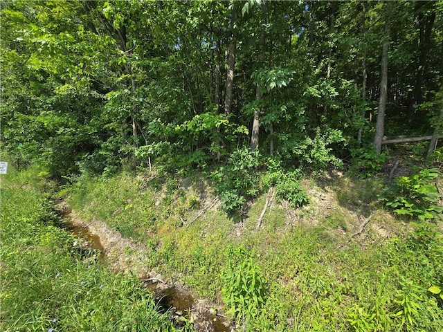 0 Warren Rd, Middlesex, NY 14507 - photo 2