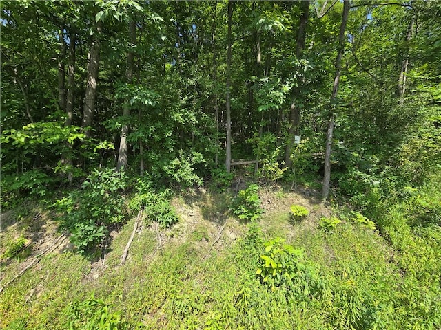 0 Warren Rd, Middlesex, NY 14507 - photo 3