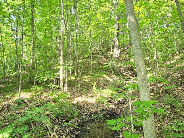 0 Warren Rd, Middlesex, NY 14507 - photo 4