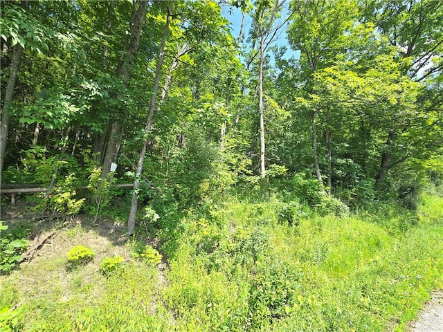 0 Warren Rd, Middlesex, NY 14507 - photo 5