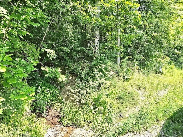0 Warren Rd, Middlesex, NY 14507 - photo 6