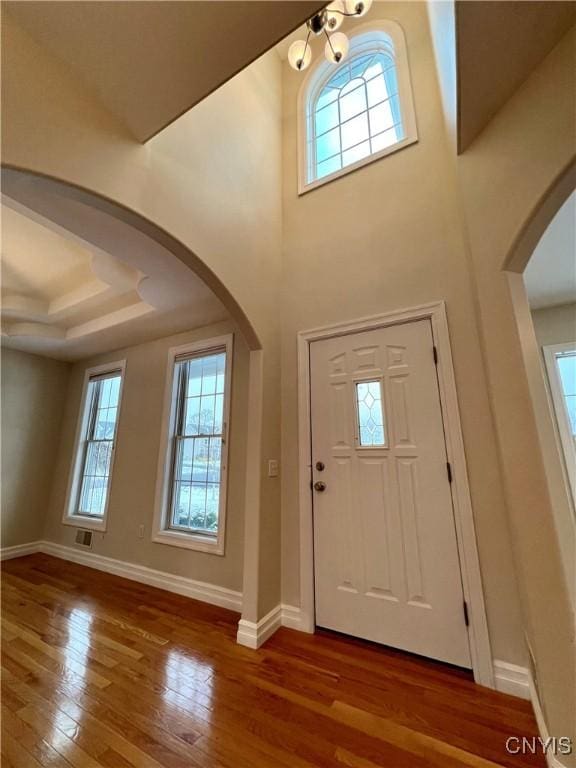 foyer featuring a raised ceiling, plenty of natural light, and hardwood / wood-style flooring