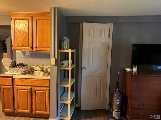 kitchen with sink and hardwood / wood-style flooring