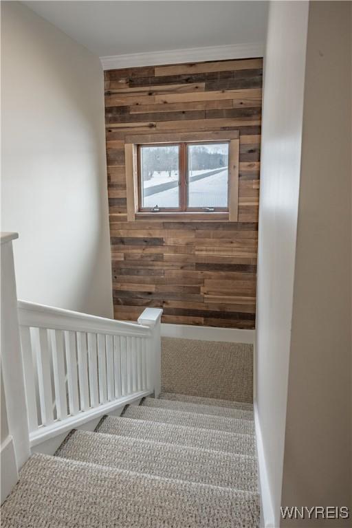 stairway with carpet flooring and wooden walls