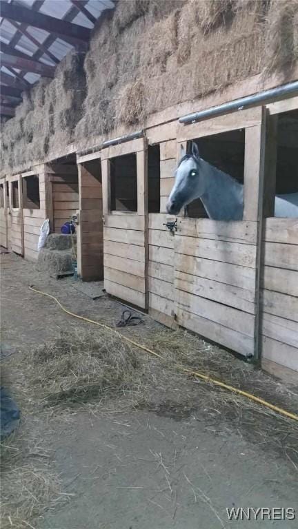 view of stable