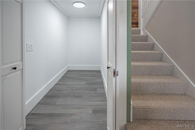 stairway with wood-type flooring