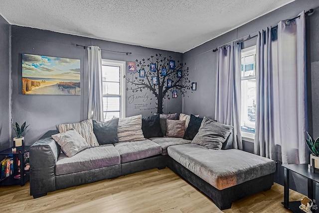 living room featuring hardwood / wood-style floors, a textured ceiling, and a healthy amount of sunlight