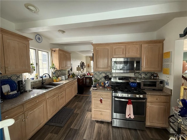 kitchen featuring backsplash, dark hardwood / wood-style flooring, sink, and appliances with stainless steel finishes