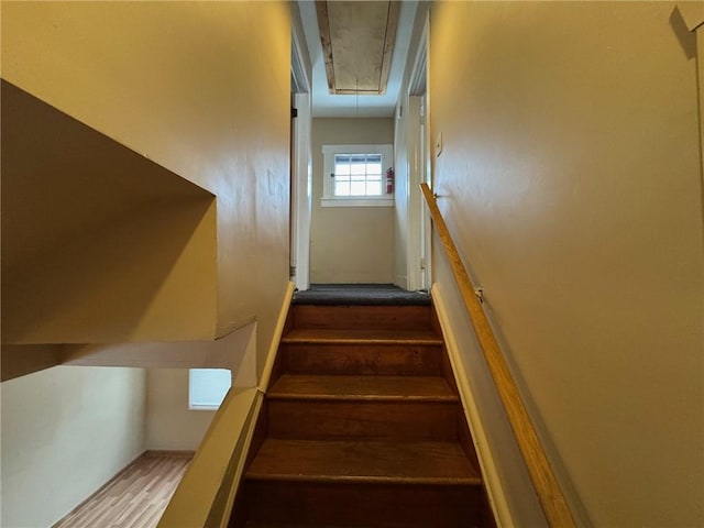 stairway with hardwood / wood-style flooring