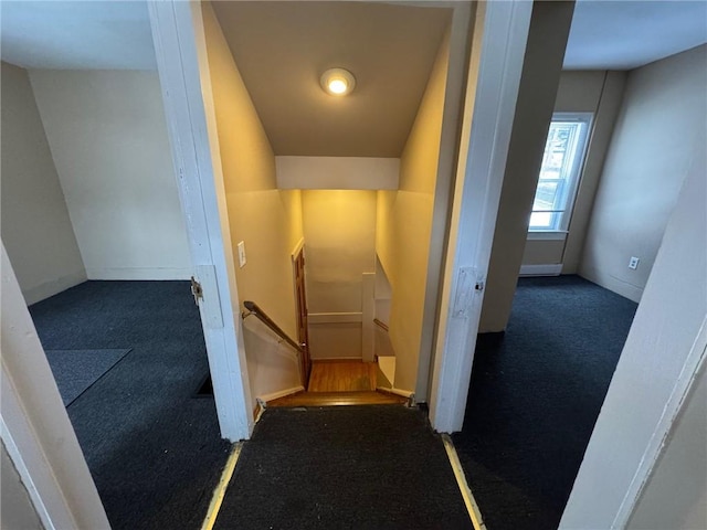 staircase featuring carpet floors