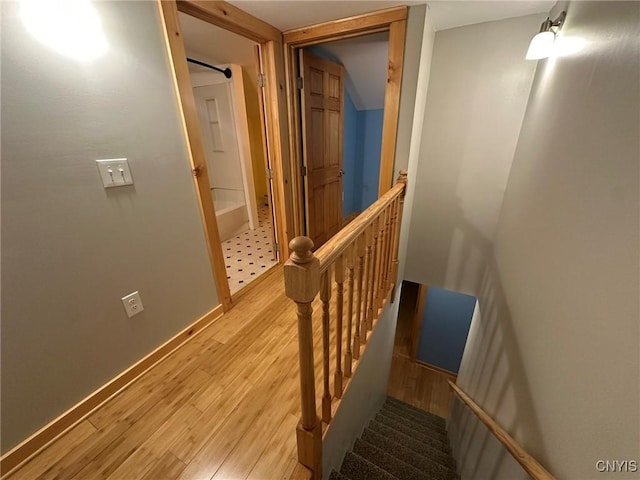 stairway with hardwood / wood-style floors