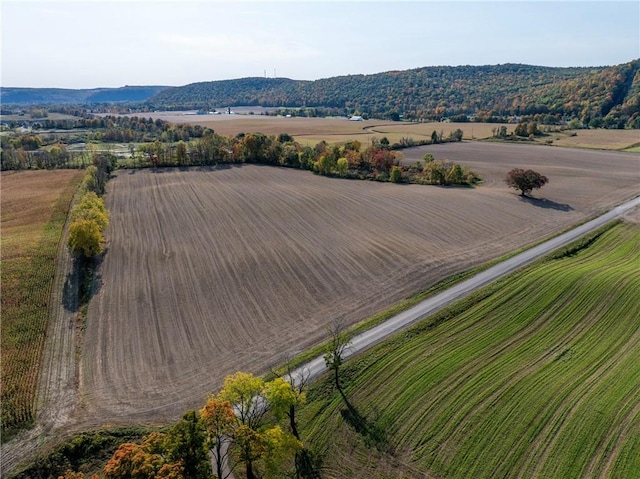 00 Fish Hatchery Rd, St, Urbana NY, 14810 land for sale