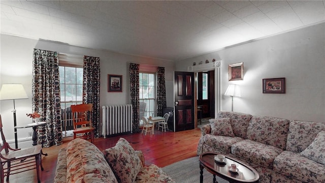 living room featuring a wealth of natural light, radiator heating unit, and wood-type flooring