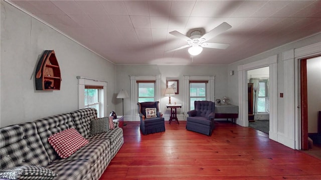 living room featuring ceiling fan and wood-type flooring