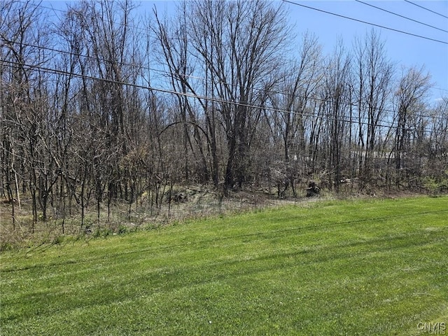 0 State Route 5, Elbridge NY, 13166 land for sale