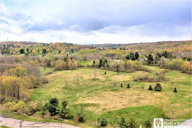 724 Hunt Rd, Busti NY, 14750 land for sale