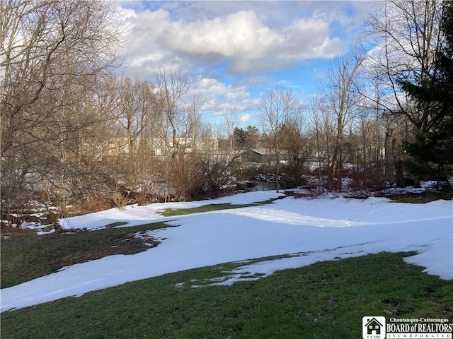 view of snowy yard