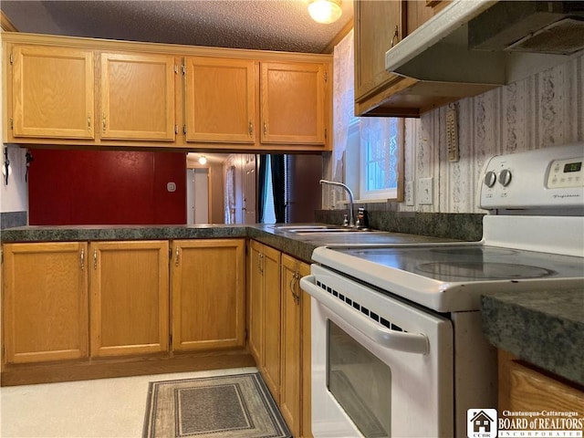 kitchen with sink, a textured ceiling, and white electric range