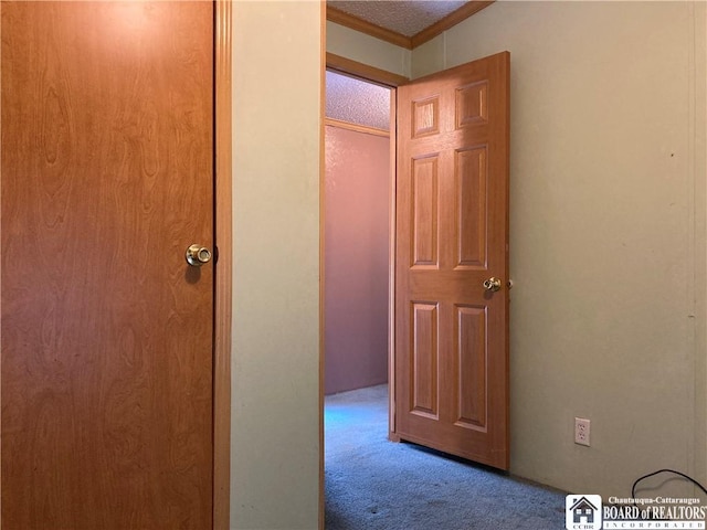 hallway featuring carpet and a textured ceiling