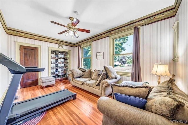 workout area featuring crown molding, hardwood / wood-style floors, and ceiling fan