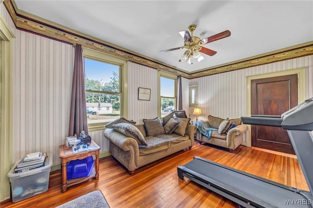 exercise room featuring ceiling fan and wood-type flooring