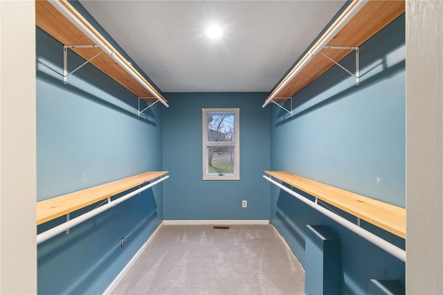 spacious closet with carpet