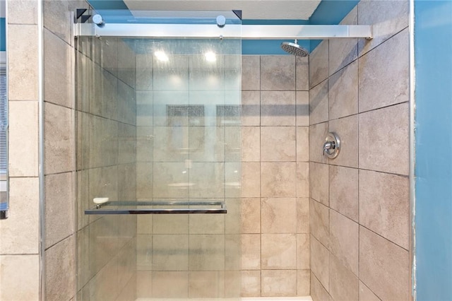 bathroom featuring a shower with shower door