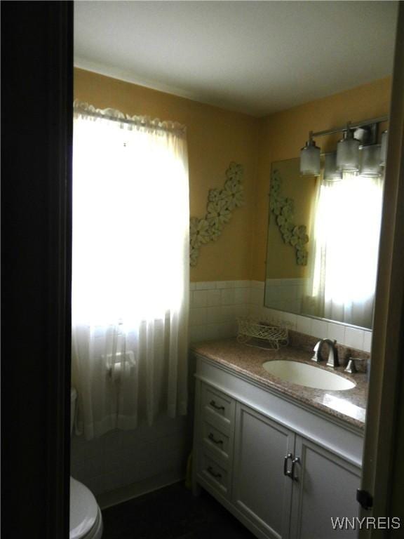 bathroom with toilet and vanity