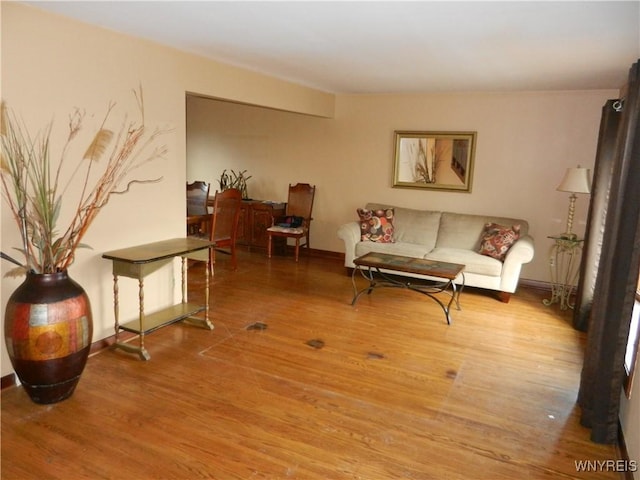 living room with hardwood / wood-style flooring