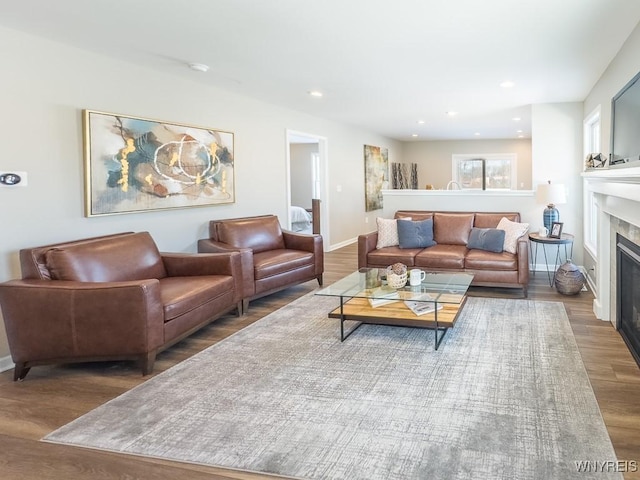 living room with hardwood / wood-style floors