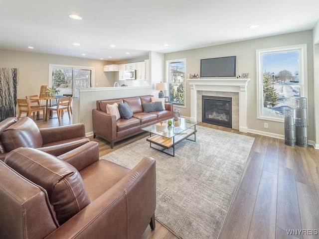 living room with a fireplace and light hardwood / wood-style floors