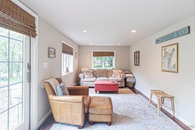 living room with hardwood / wood-style floors