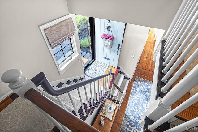 foyer entrance with hardwood / wood-style floors