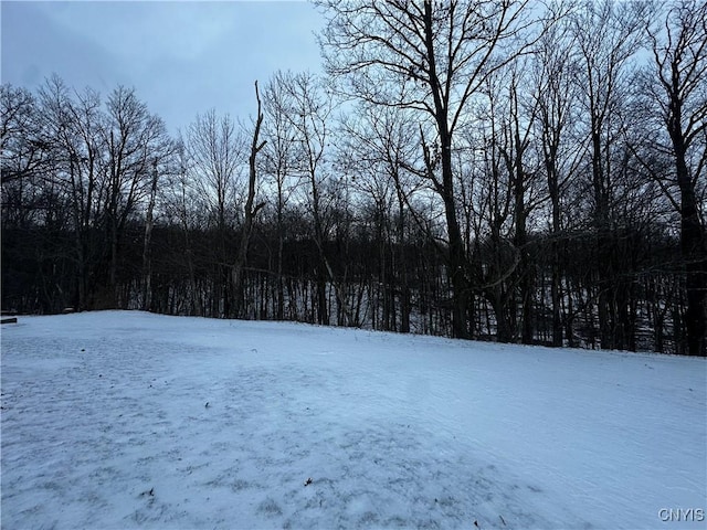 view of snowy yard