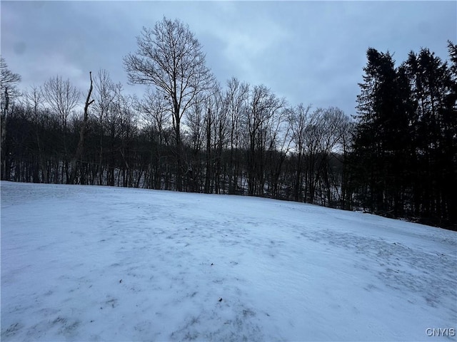 view of yard layered in snow