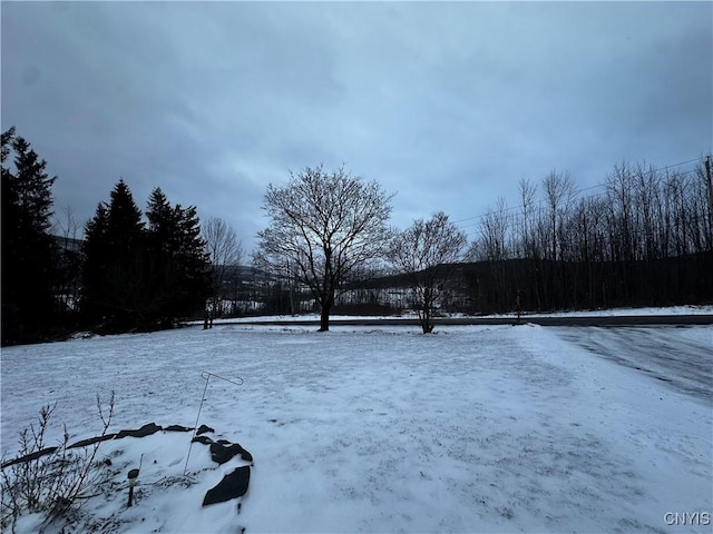 view of yard layered in snow