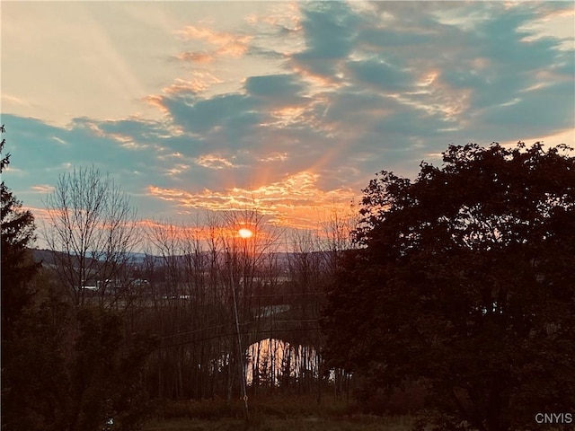 view of nature at dusk