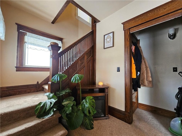 stairway with carpet