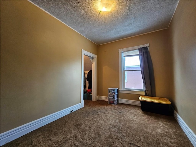 interior space with carpet floors, a textured ceiling, and a closet