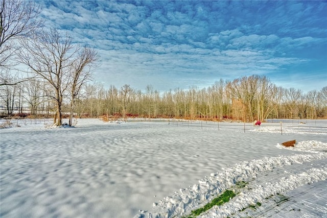 view of yard covered in snow